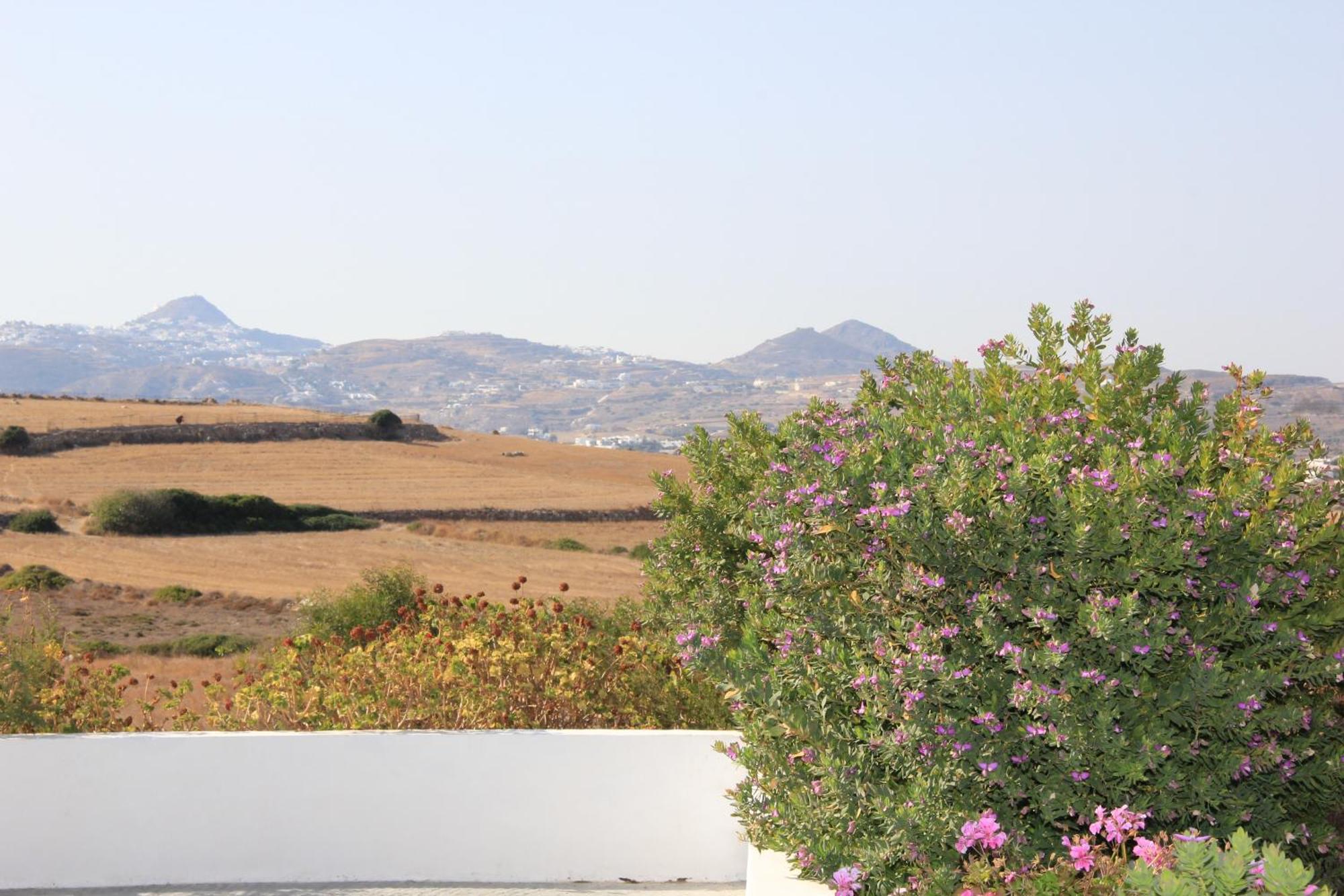 Margaritari Studios Milos آداماس الغرفة الصورة